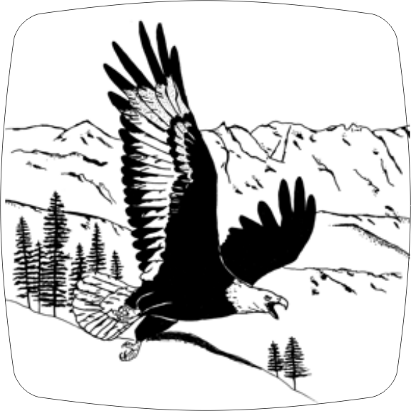 17baldeagle.gif