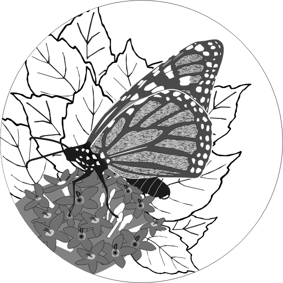 17butterfly.gif