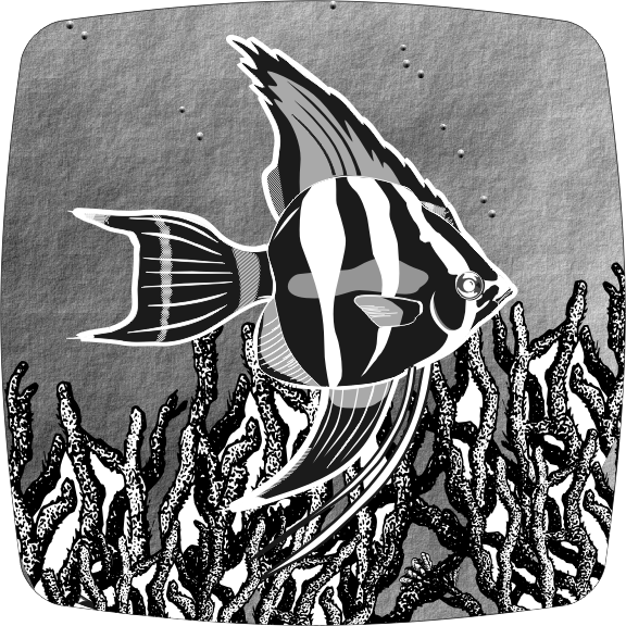 17fish.gif