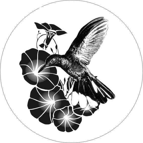 17hummingbird.gif