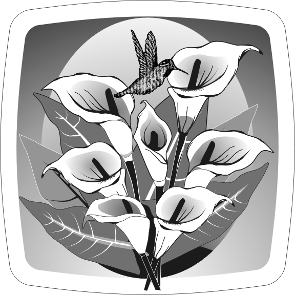 17liliy.gif
