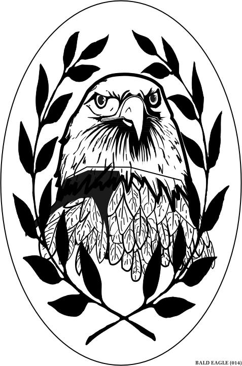baldeagle.gif