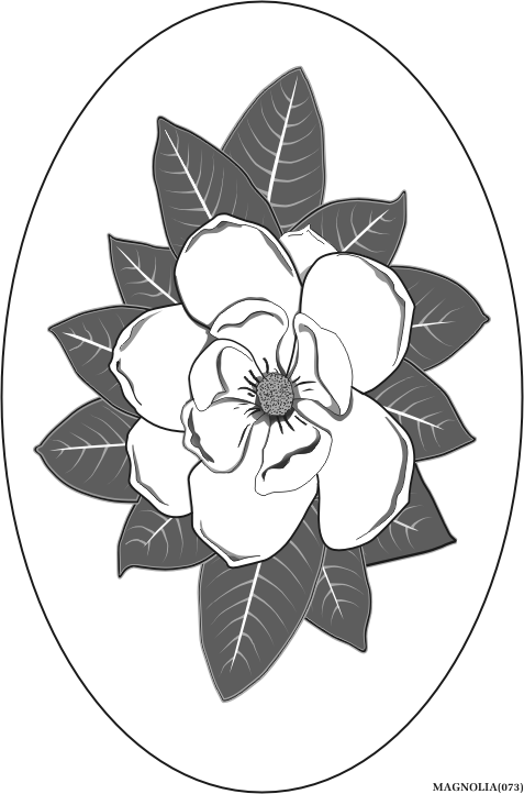 bloomingmagnolia.gif