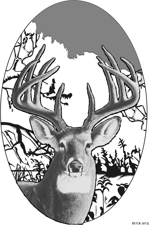 buck.gif