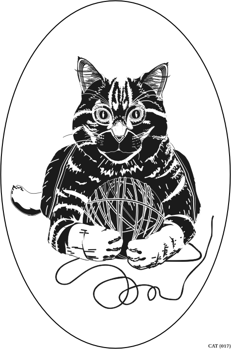 cat.gif