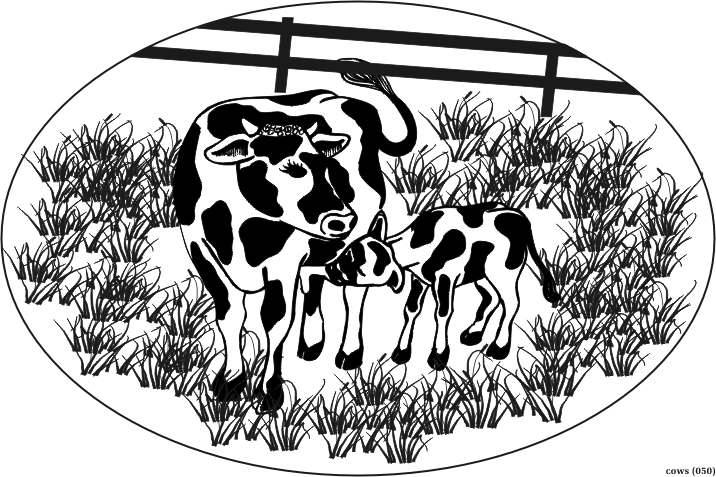 cow.gif
