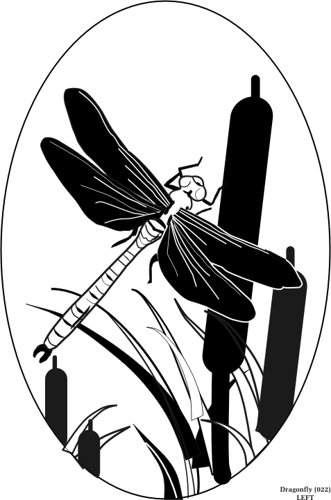 dragonfly.gif