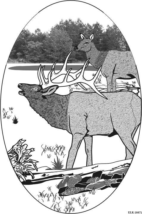 elk.gif
