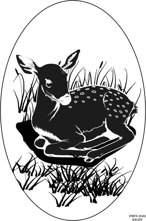 fawn.gif