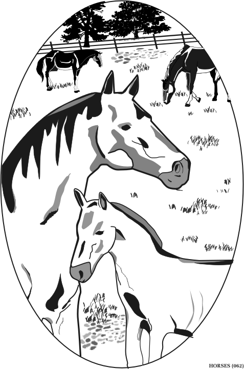 horses.gif