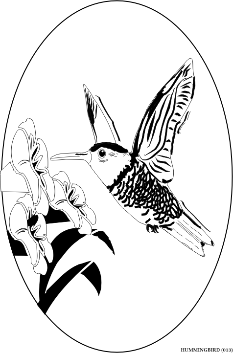 hummingbird.gif