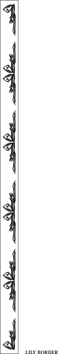 lilyborder.gif