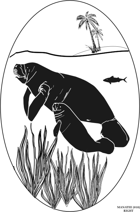 manatee.gif