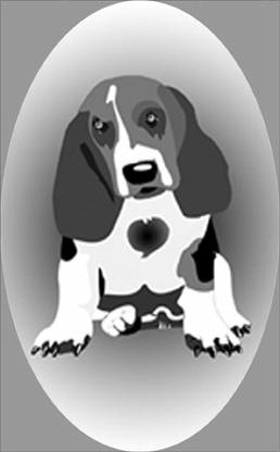 osi401bassethound72.jpg