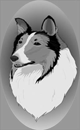 osi402collie72.jpg