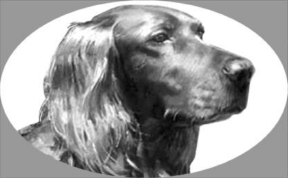 osi416irishsetter.jpg