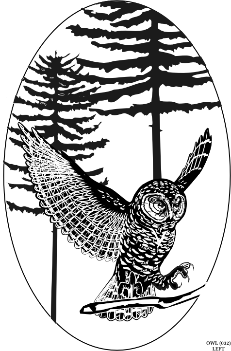 owl.gif