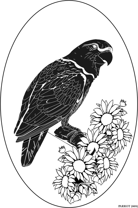 parrot.gif