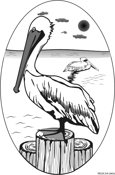 pelican.gif