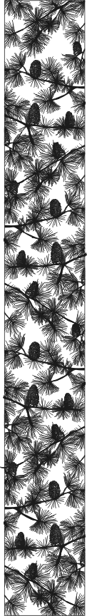 pineconesidelite.gif
