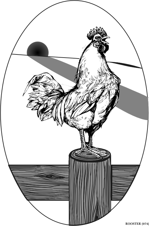 rooster.gif