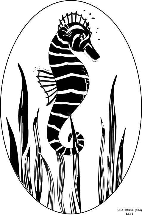 seahorse.gif