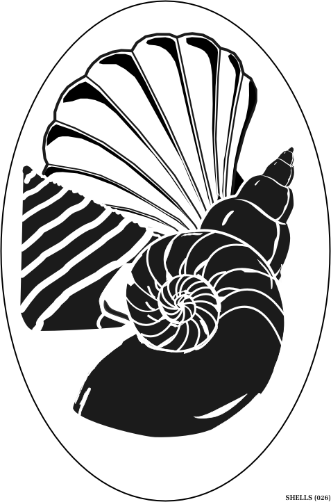 shell.gif