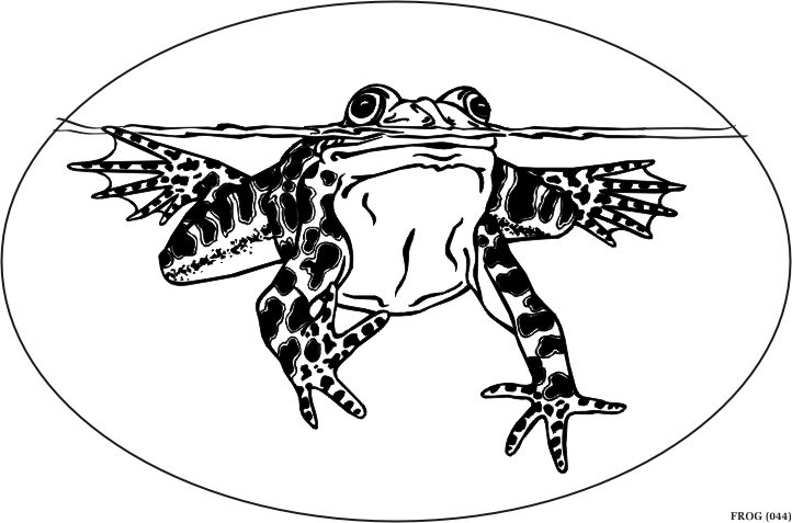 swimmingfrog.gif