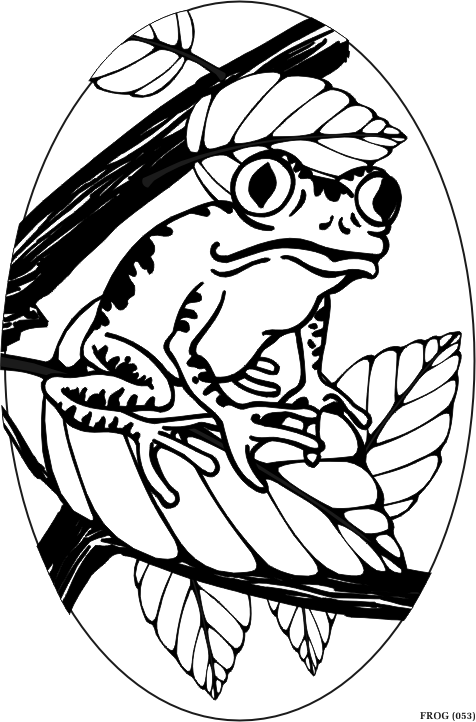 treefrog.gif