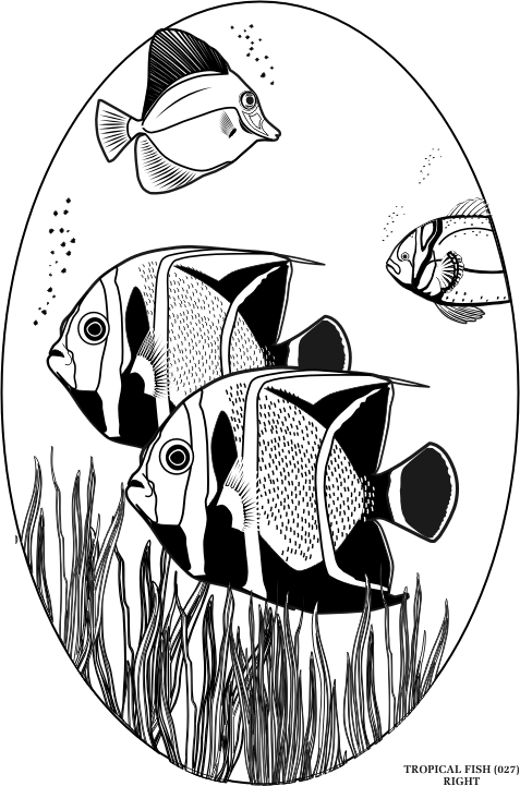 tropicalfish.gif