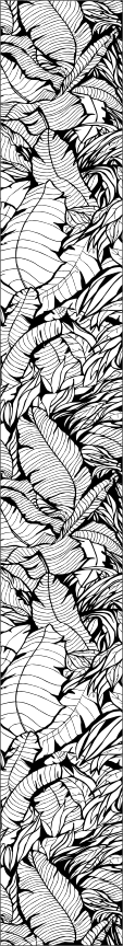 tropicsidelite.gif