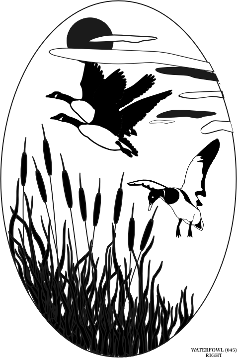 waterfowl.gif