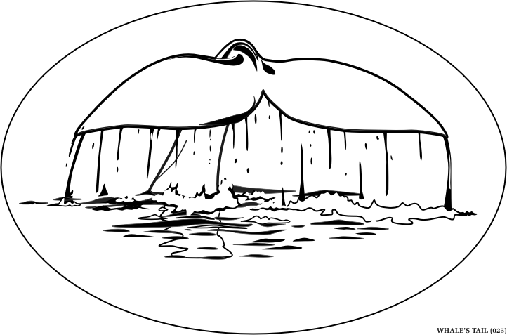 whalestail.gif