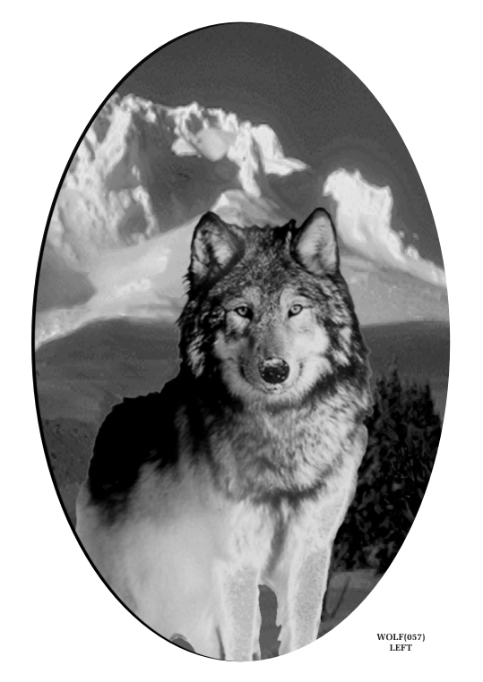 wolf.gif